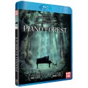 PIANO FOREST BLURAY