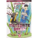 METEORITE BREED 02