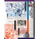 PREORDER KEN IL GUERRIERO LA GRANDE ANATOMIA