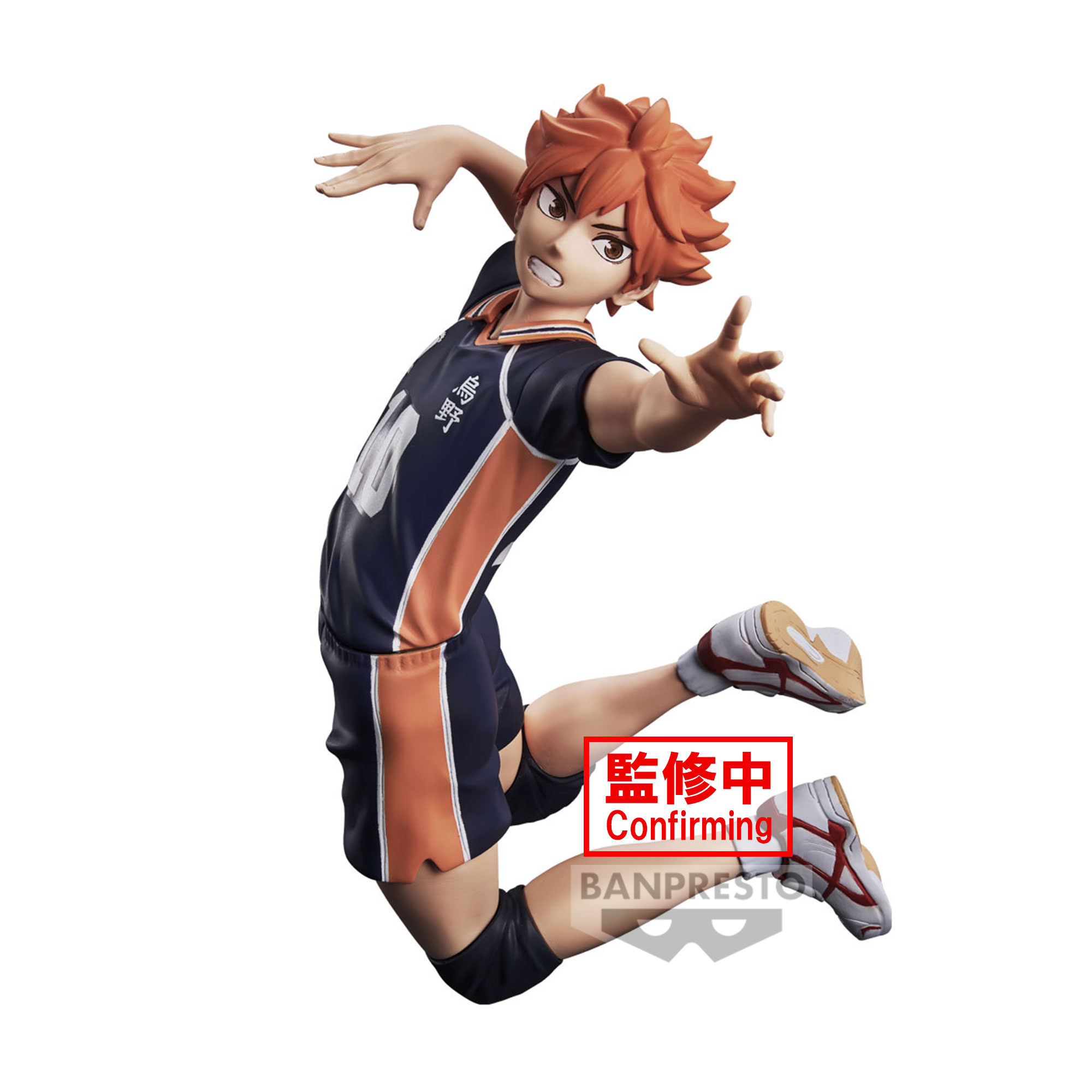 HAIKYU POSING SHOYO HINATA