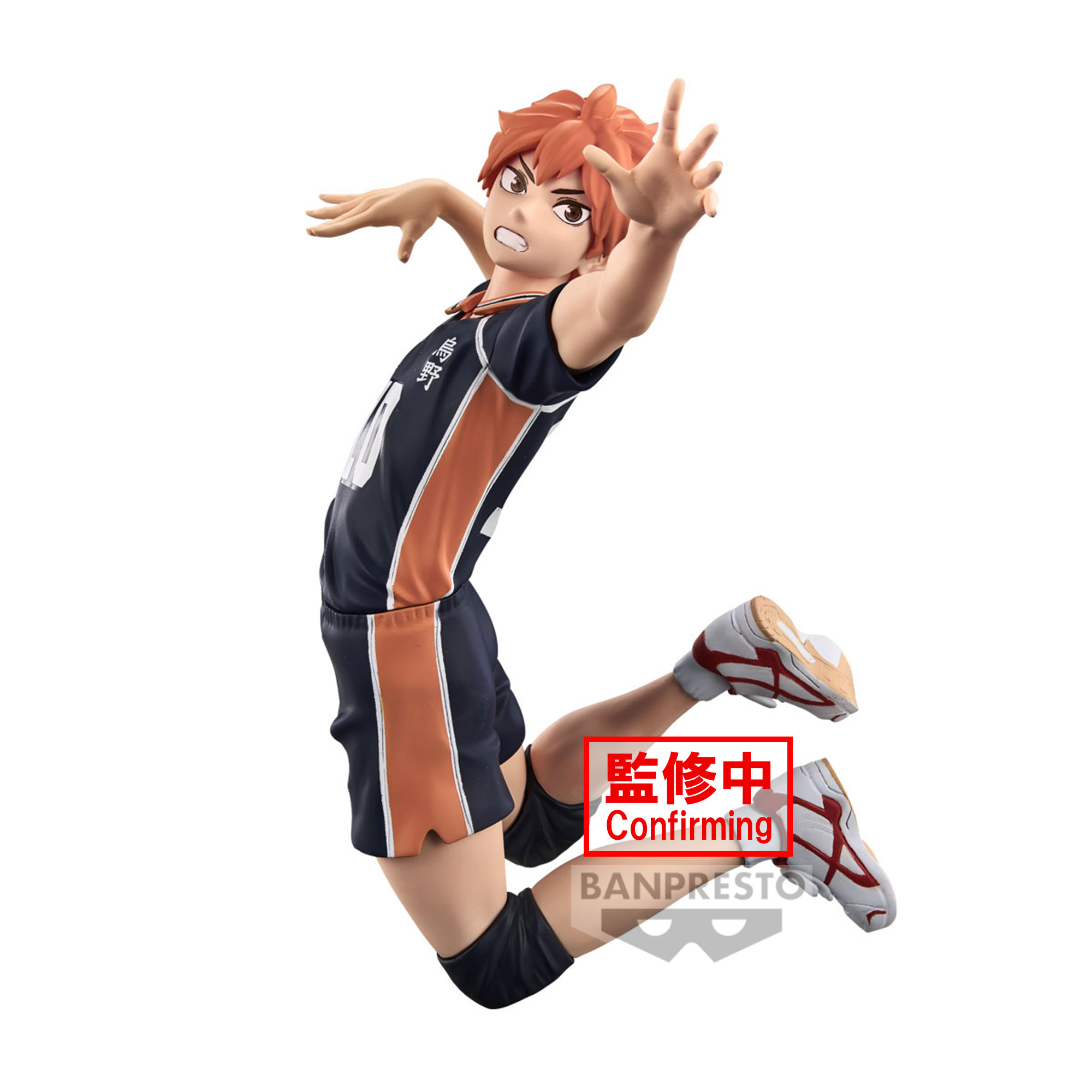 HAIKYU POSING SHOYO HINATA
