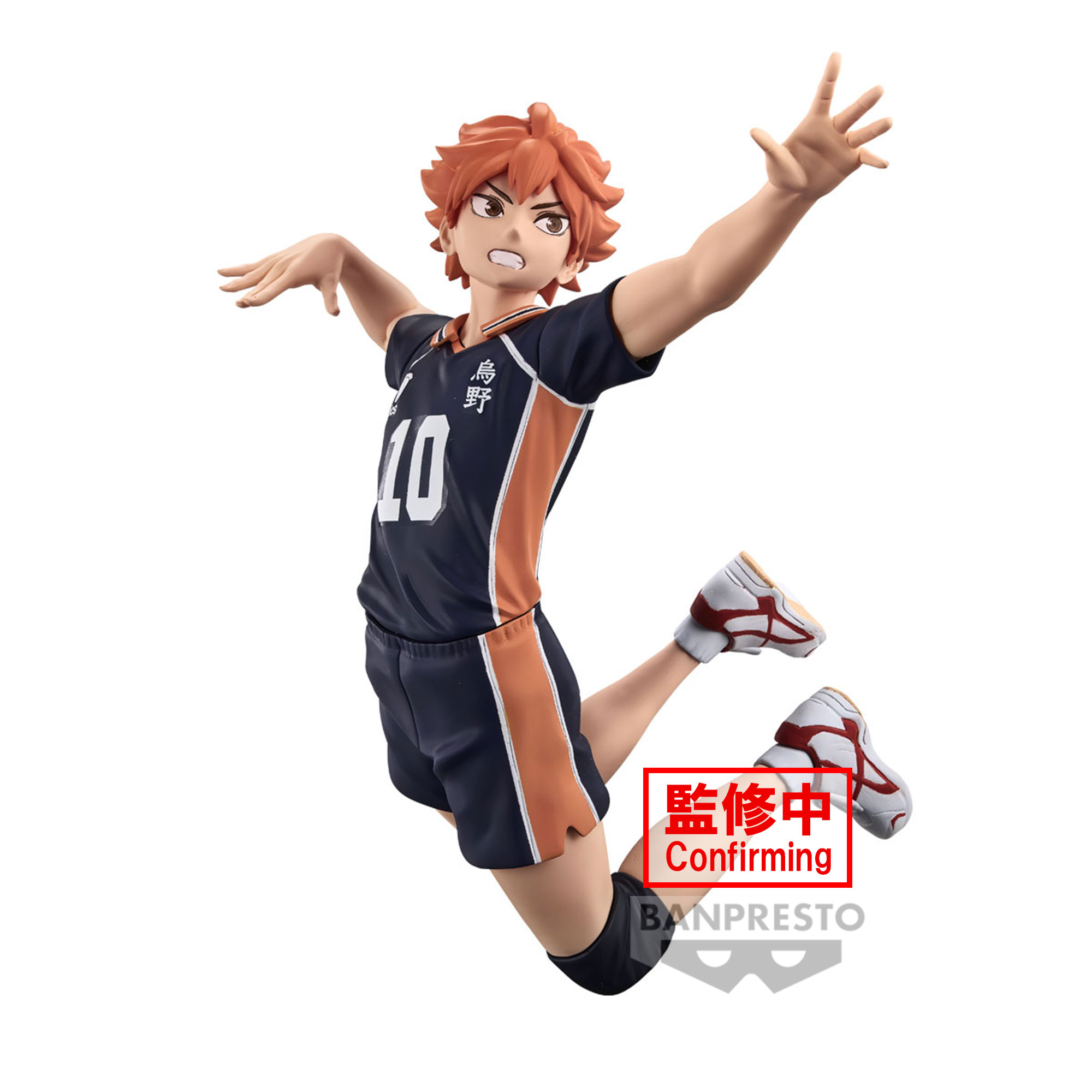 HAIKYU POSING SHOYO HINATA