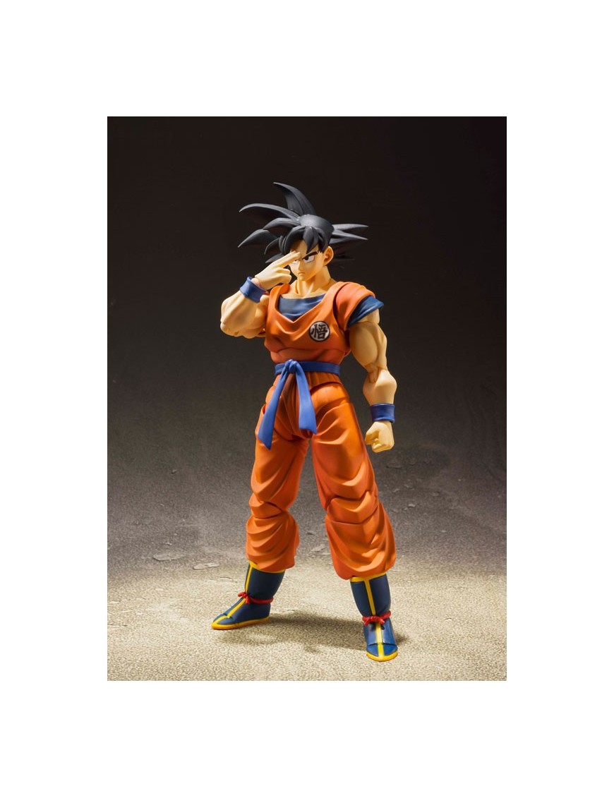 SH FIGUARTS DRAGON BALL GOKU EARTH