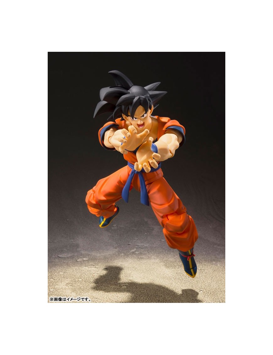SH FIGUARTS DRAGON BALL GOKU EARTH