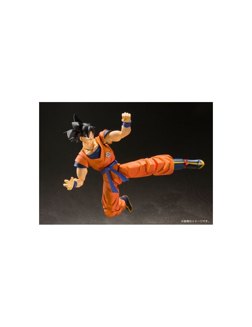 SH FIGUARTS DRAGON BALL GOKU EARTH