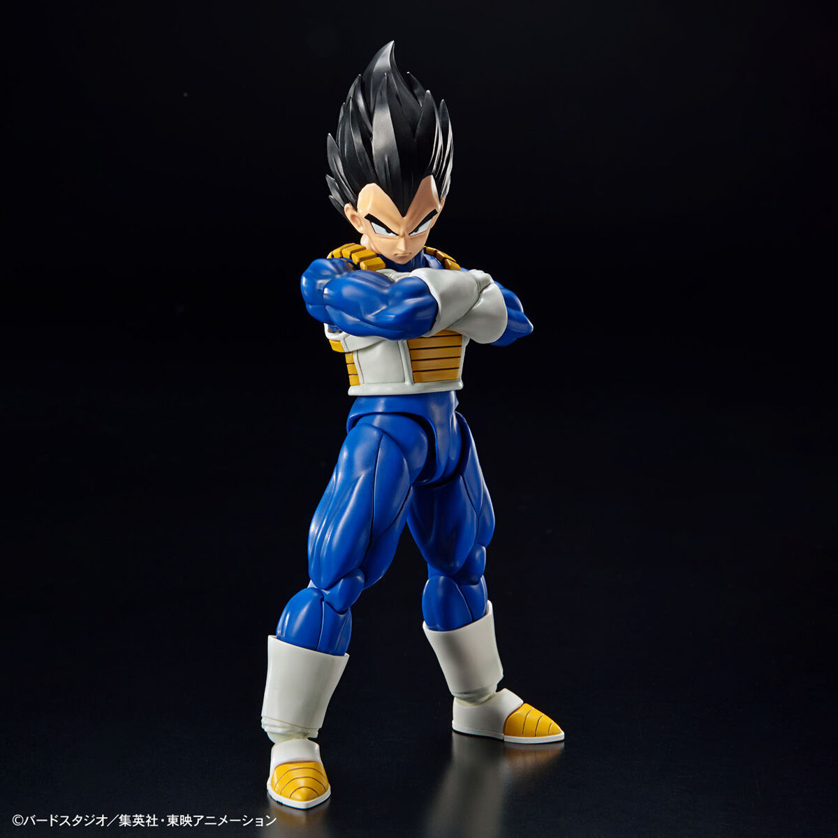 FIGURE RISE VEGETA NEW SPEC VER