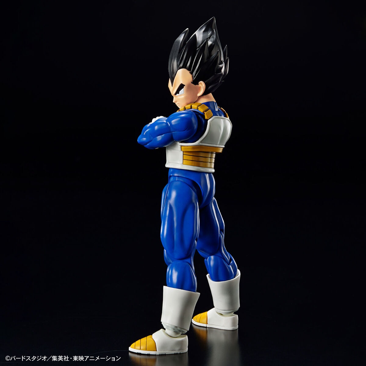 FIGURE RISE VEGETA NEW SPEC VER