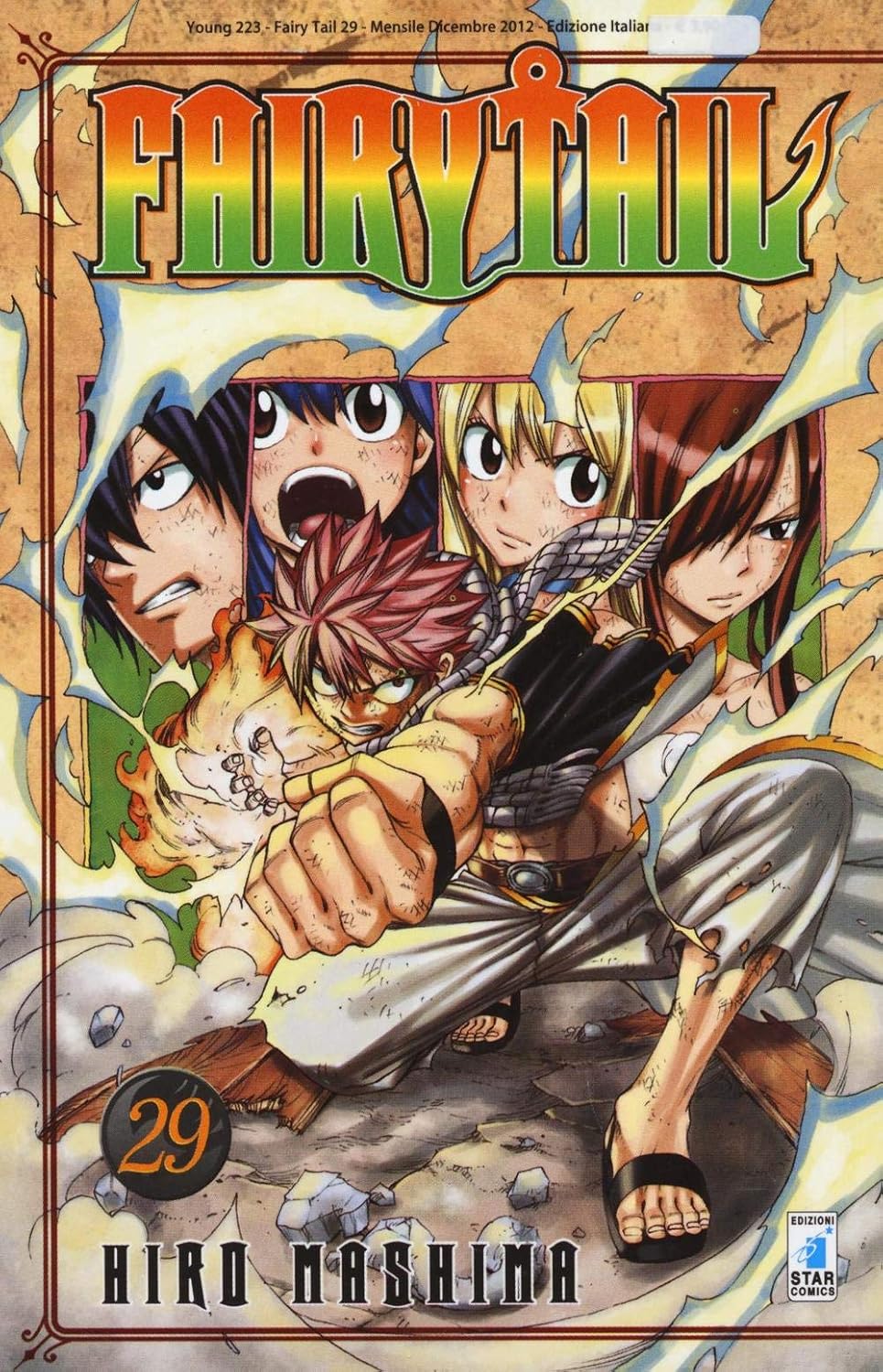 FAIRY TAIL 29